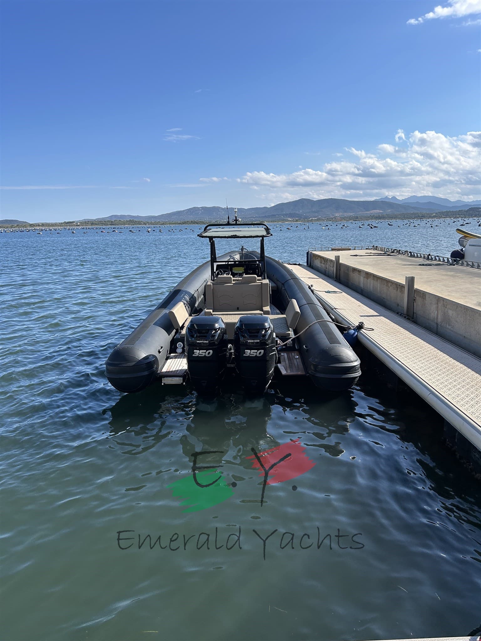 Sea Water Phantom 300 usato - dettaglio 2