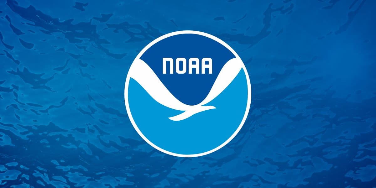 Red snapper South Atlantic 2026: cosa cambia davvero per armatori, charter e uscite estive