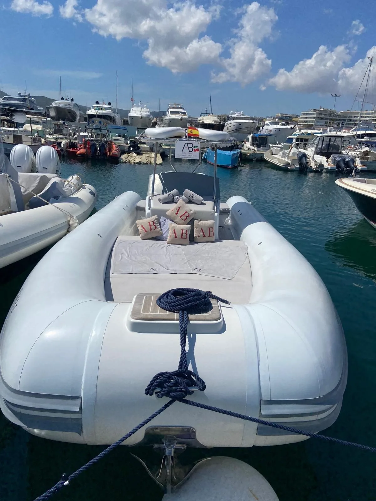 Doviboat 10 m gebraucht - Foto 1