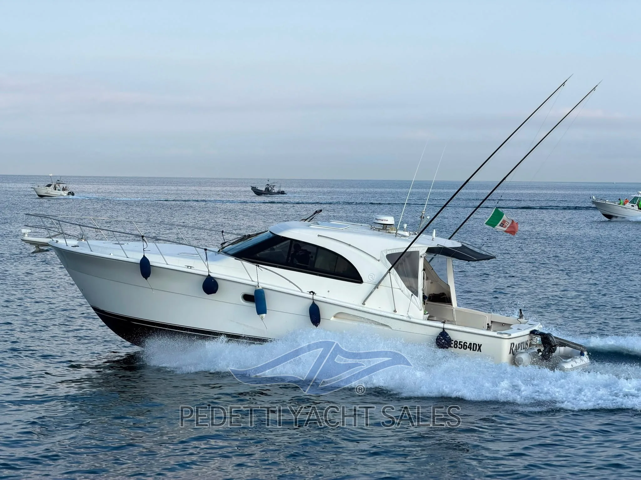 Riviera 4300 Offshore Express used - photo 1