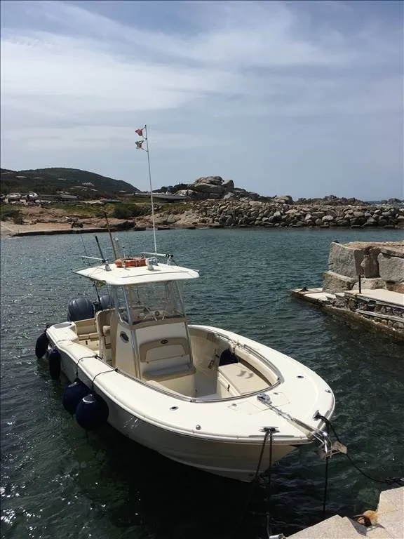 Scout 282 Xsf gebraucht - Foto 1